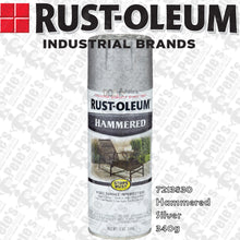 Load image into Gallery viewer, Rust-oleum *Stops Rust* Hammered paint