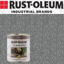 Load image into Gallery viewer, Rust-oleum *Stops Rust* Hammered paint