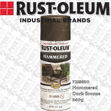 Load image into Gallery viewer, Rust-oleum *Stops Rust* Hammered paint