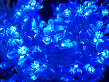 Load image into Gallery viewer, LED Fairy Lights 10mtr L/Volt