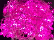 Load image into Gallery viewer, LED Fairy Lights 10mtr L/Volt
