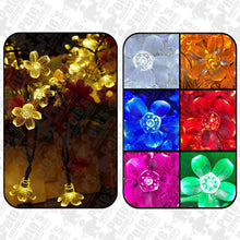 Load image into Gallery viewer, LED Fairy Lights 10mtr L/Volt