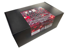 Load image into Gallery viewer, Pro Grade LED Icicle Lights Rubberized 2mtrs x 0.6mtr
