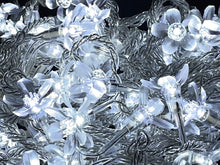 Load image into Gallery viewer, LED Fairy Lights 10mtr L/Volt
