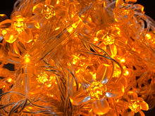 Load image into Gallery viewer, LED Fairy Lights 10mtr L/Volt
