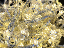 Load image into Gallery viewer, LED Fairy Lights 10mtr L/Volt
