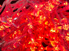 Load image into Gallery viewer, LED Fairy Lights 10mtr L/Volt
